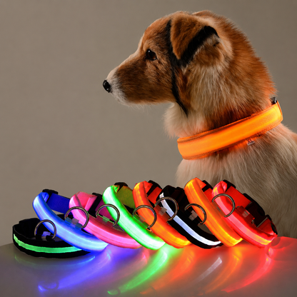NightSafe™ Glow Dog Collar — LED Safety Collar for Night Walks