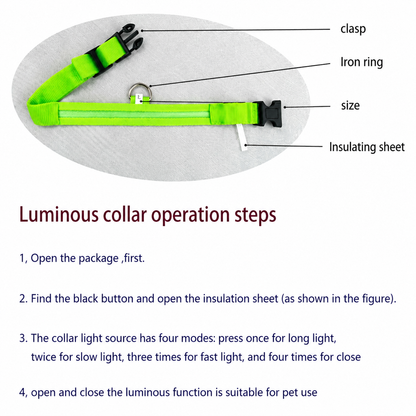 NightSafe™ Glow Dog Collar — LED Safety Collar for Night Walks