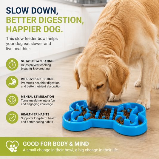 Slow Feeder Bowl
